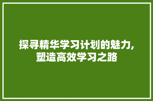 探寻精华学习计划的魅力,塑造高效学习之路 写作社区