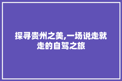 探寻贵州之美,一场说走就走的自驾之旅 简历模板