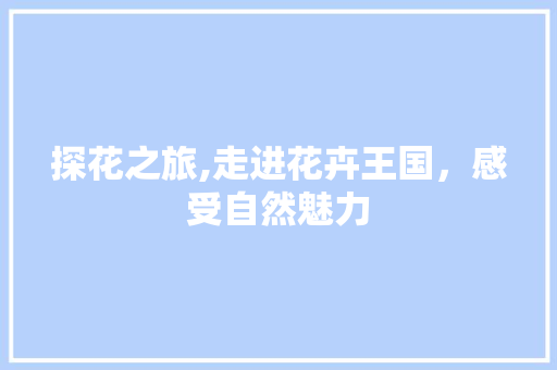 探花之旅,走进花卉王国，感受自然魅力