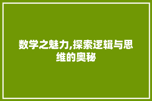 数学之魅力,探索逻辑与思维的奥秘