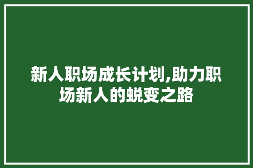 新人职场成长计划,助力职场新人的蜕变之路