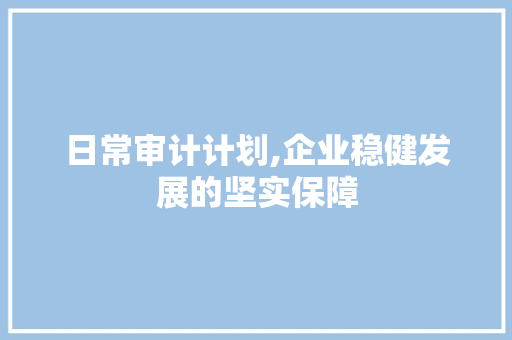 日常审计计划,企业稳健发展的坚实保障