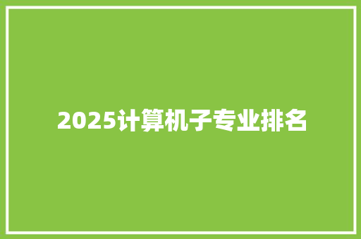 2025计算机子专业排名