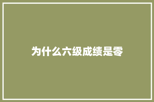 为什么六级成绩是零