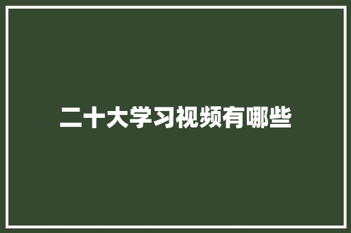 二十大学习视频有哪些