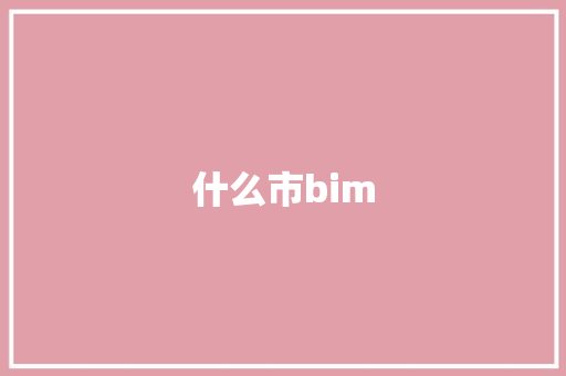 什么市bim