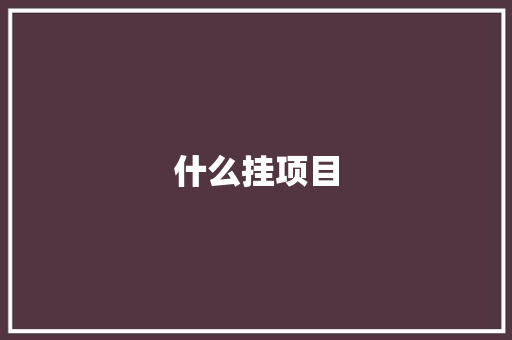 什么挂项目