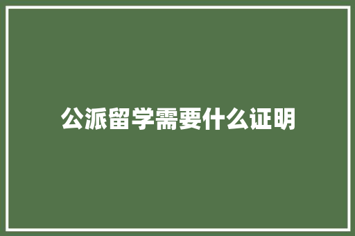 公派留学需要什么证明