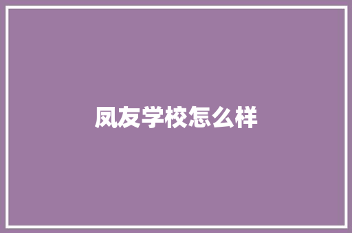 凤友学校怎么样