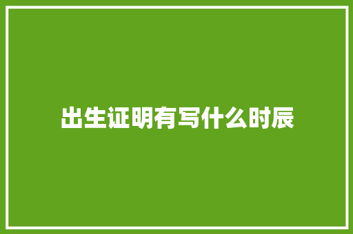 出生证明有写什么时辰
