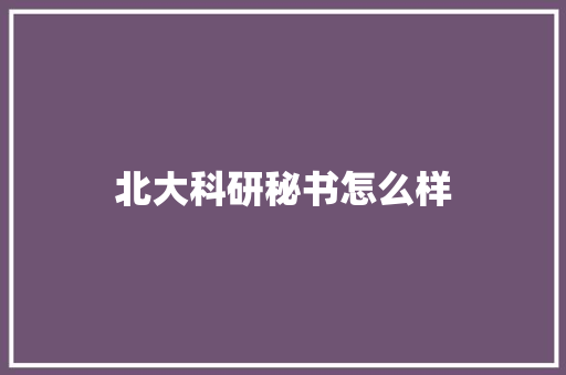 北大科研秘书怎么样