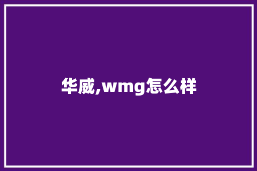 华威,wmg怎么样