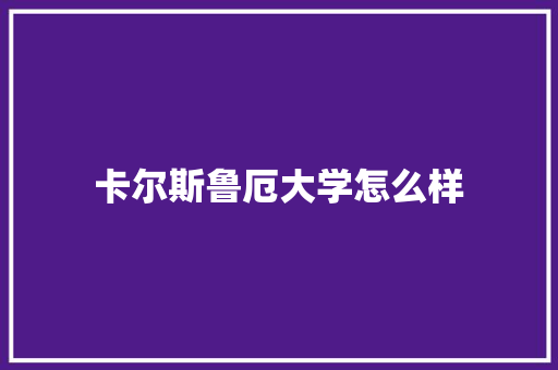 卡尔斯鲁厄大学怎么样