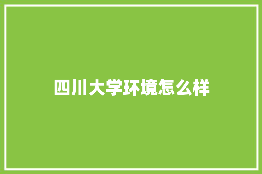 四川大学环境怎么样