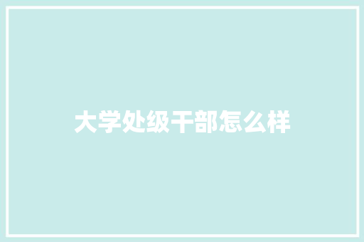 大学处级干部怎么样
