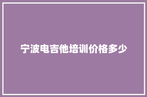 宁波电吉他培训价格多少