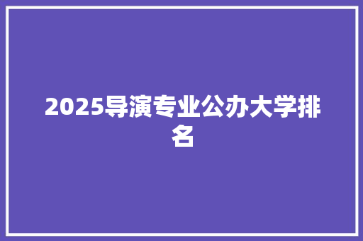 2025导演专业公办大学排名