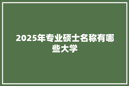 2025年专业硕士名称有哪些大学