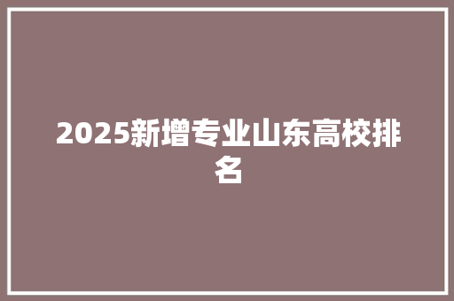 2025新增专业山东高校排名