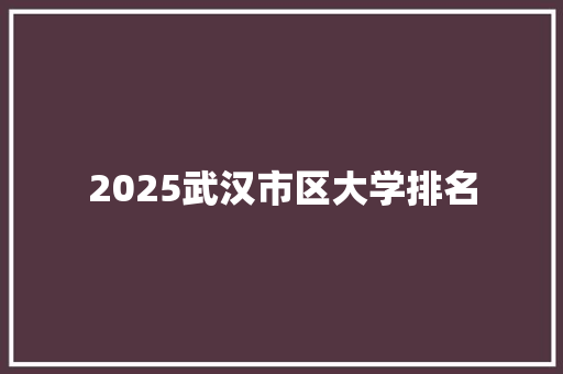 2025武汉市区大学排名