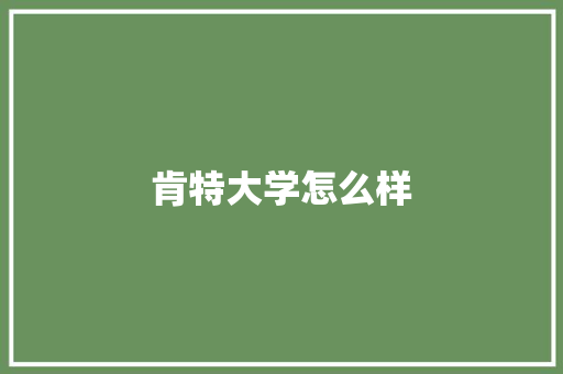 肯特大学怎么样