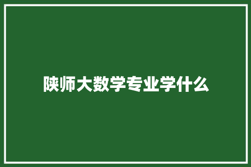 陕师大数学专业学什么