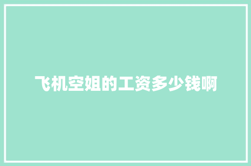 飞机空姐的工资多少钱啊