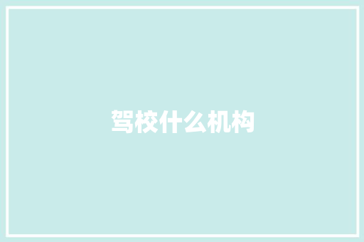 驾校什么机构