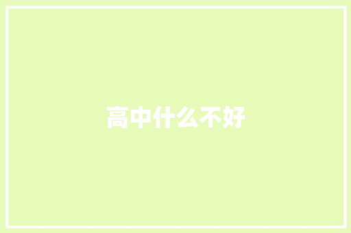 高中什么不好