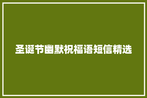 圣诞节幽默祝福语短信精选