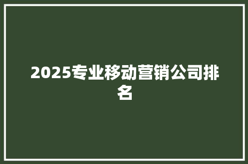 2025专业移动营销公司排名