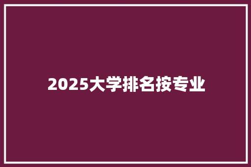 2025大学排名按专业 报告写作