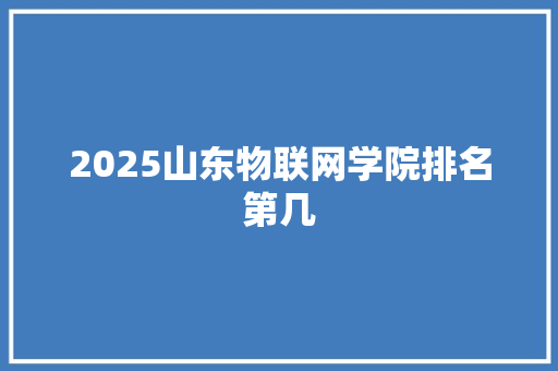 2025山东物联网学院排名第几