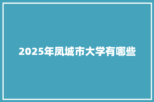 2025年凤城市大学有哪些