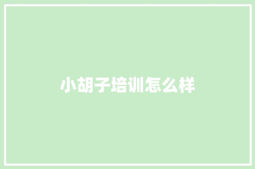 小胡子培训怎么样