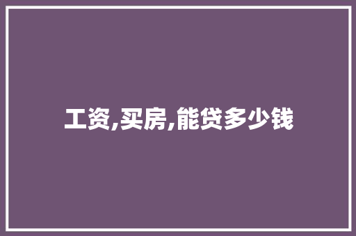 工资,买房,能贷多少钱 范文赏析