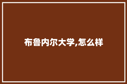 布鲁内尔大学,怎么样