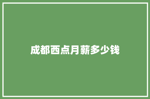 成都西点月薪多少钱