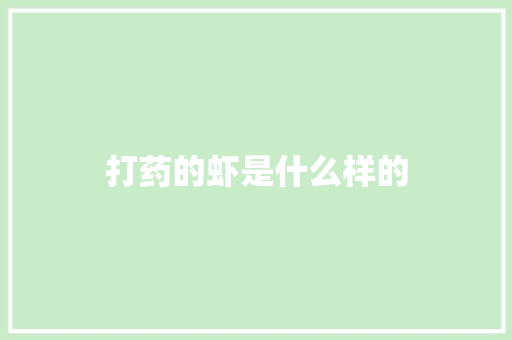 打药的虾是什么样的