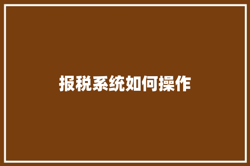 报税系统如何操作