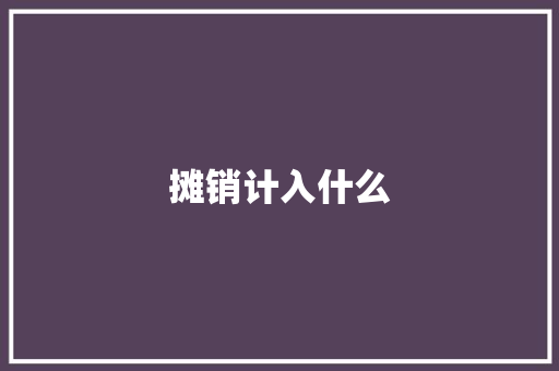 摊销计入什么