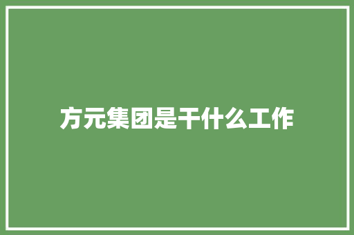 方元集团是干什么工作