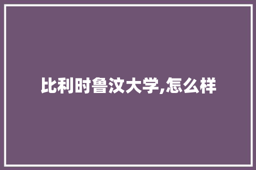 比利时鲁汶大学,怎么样