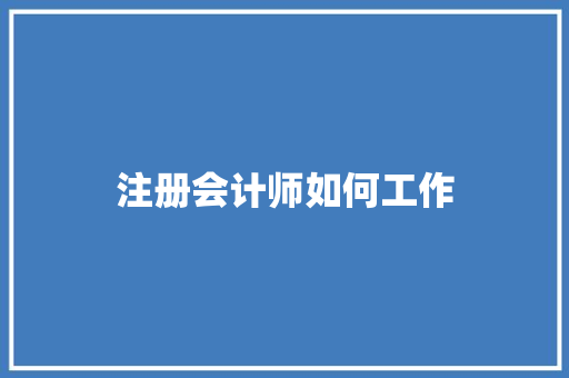 注册会计师如何工作