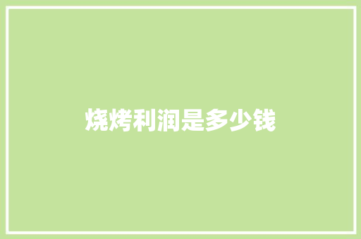 烧烤利润是多少钱