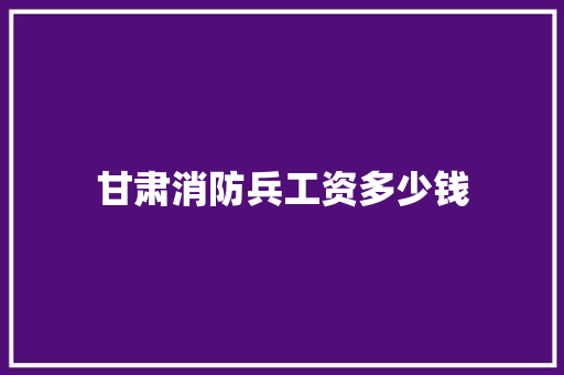 甘肃消防兵工资多少钱