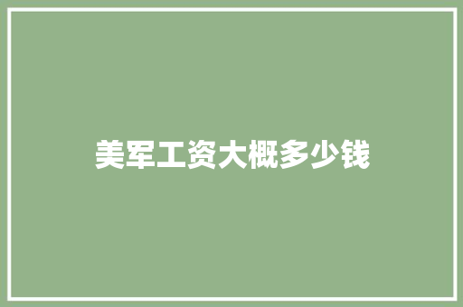 美军工资大概多少钱