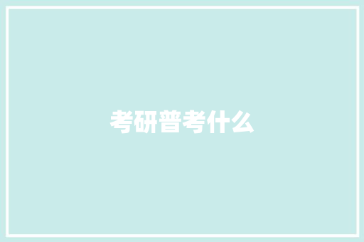 考研普考什么 报告写作