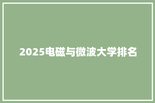 2025电磁与微波大学排名