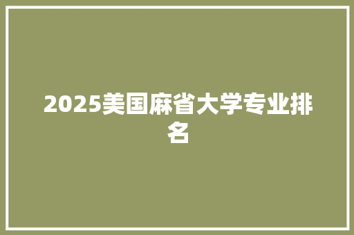 2025美国麻省大学专业排名